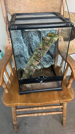 Reptile glass cage