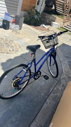 Eddie Bauer bike