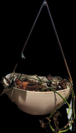 Hanging Floer Pot