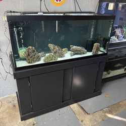 75 Gallon Aquarium 