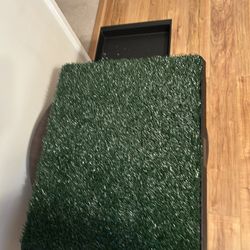 Fake Grass Potty Training