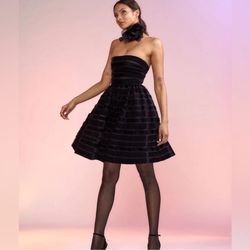 NWT Cynthia Rowley Velvet Ribbon Mesh Strapless Mini Dress 