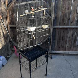 Bird Cage