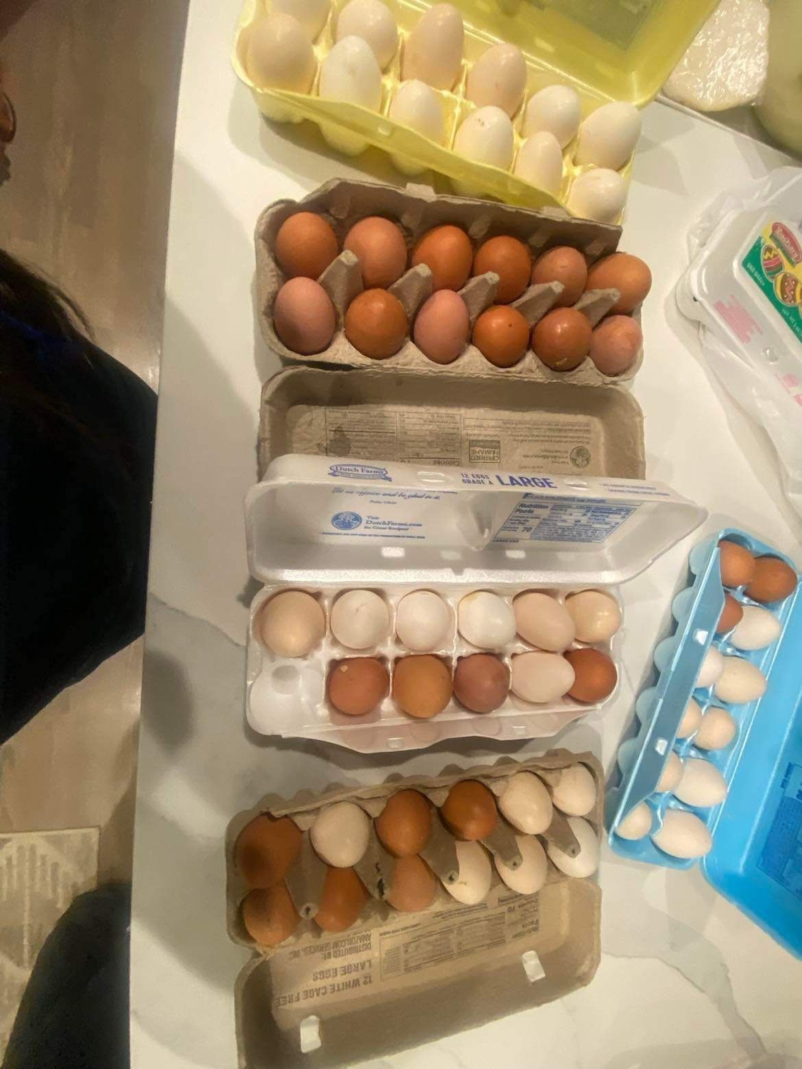 farm Egg  $5.50 Per Dozen 