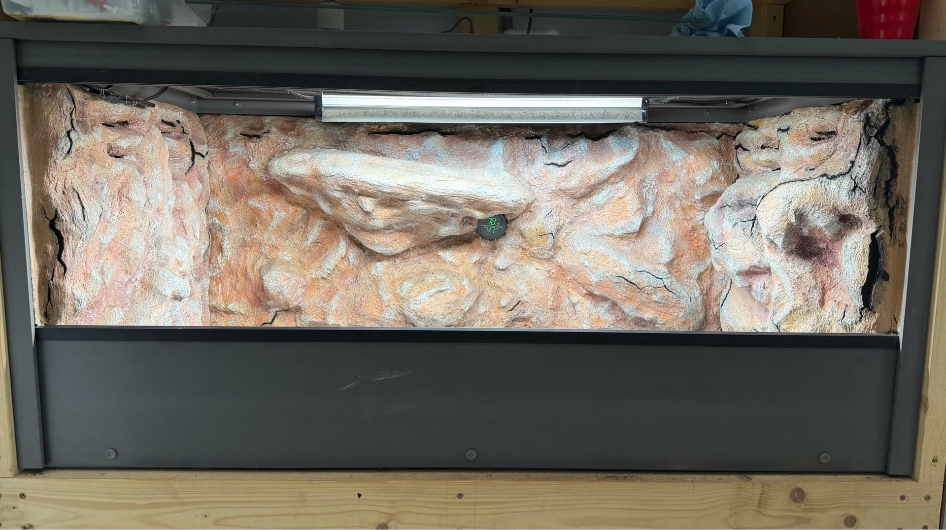 Vivarium, animal enclosure custom tank