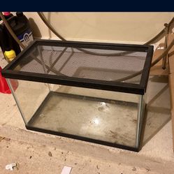 10 Gallon Tank 