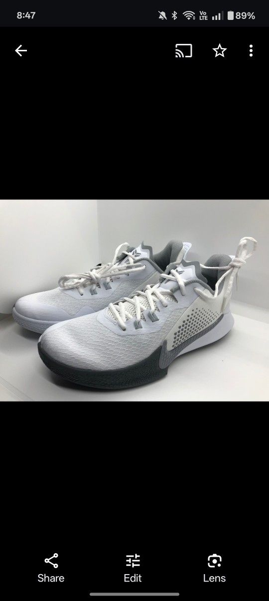 Kobe Mamba Fury