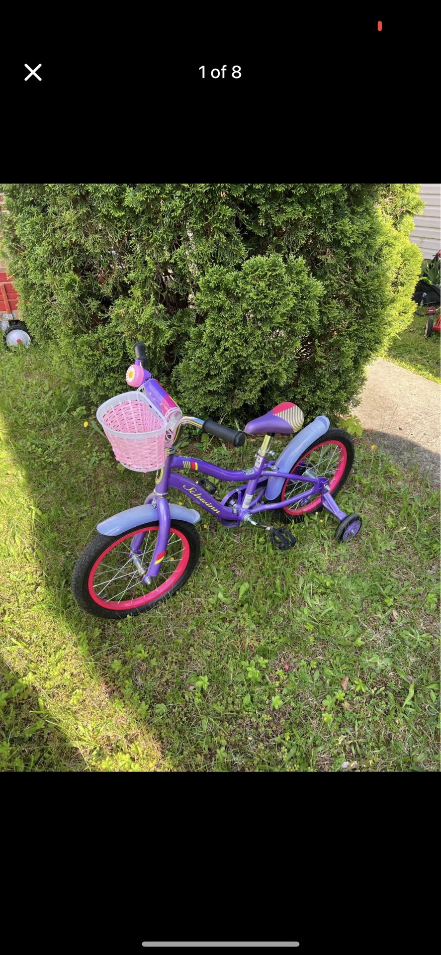 Schwinn Sunnyside 16