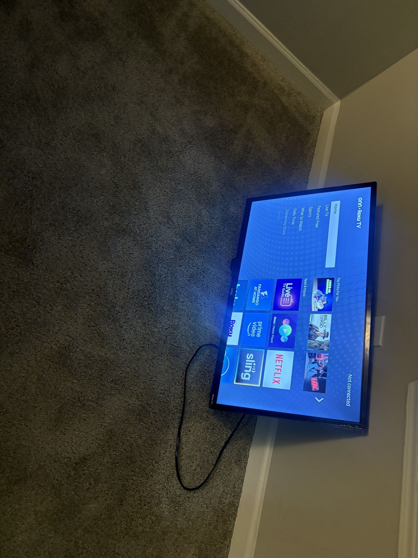 32 Inch Roku