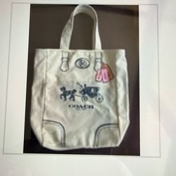 Coach canvas