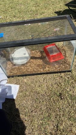 Fish Tank/ Pecera