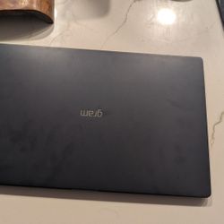 Ultra Slim LG Gram 15.9 