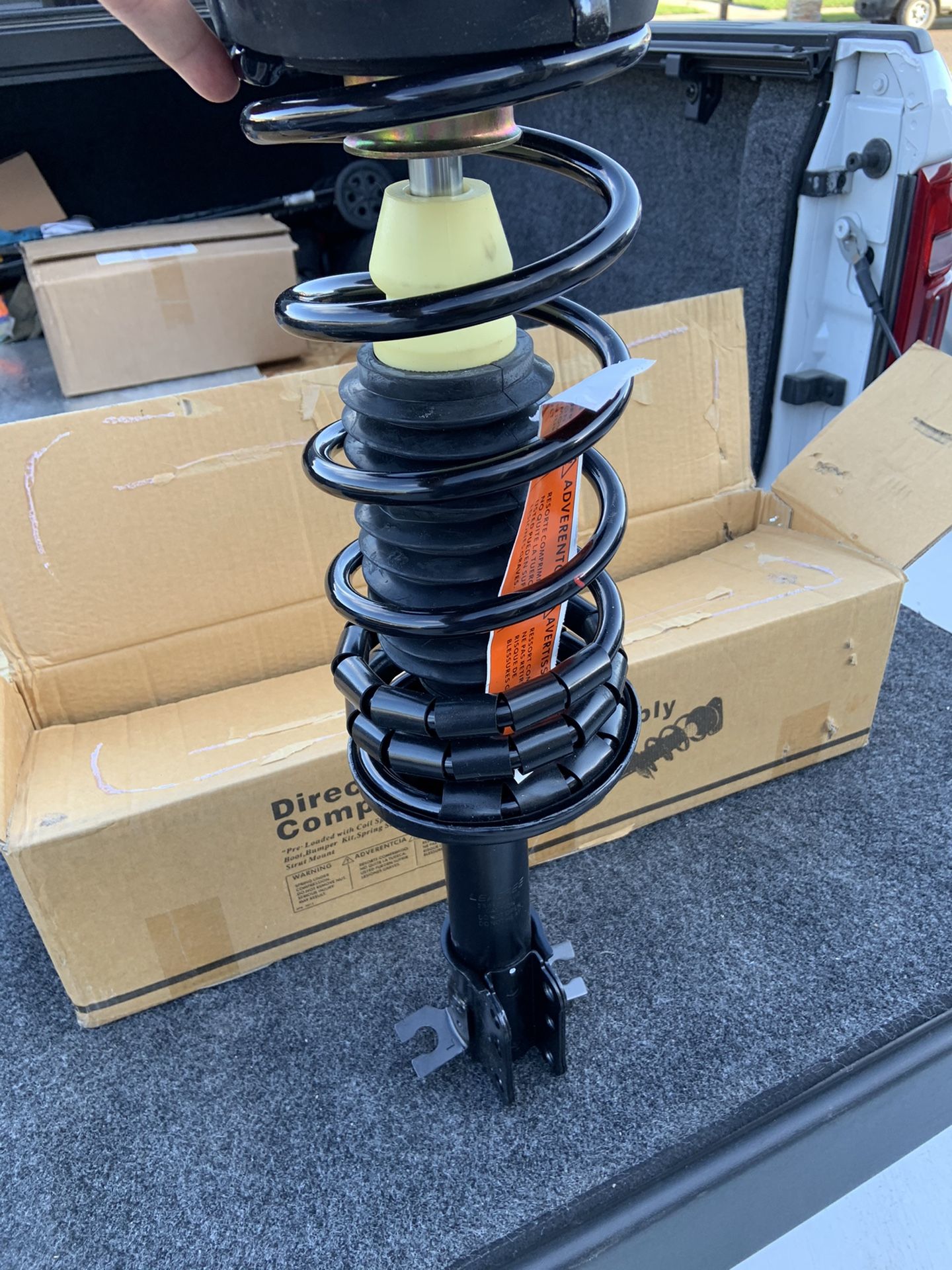 Strut Brand New