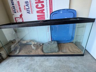 55 gallon tank