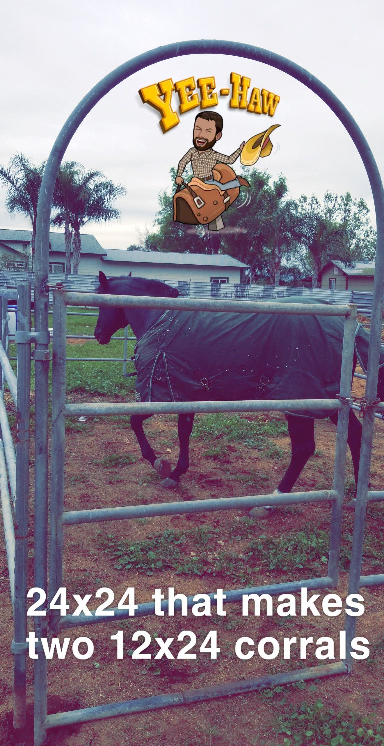 24x24 horse corral
