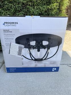 3 Bulb Flush Mount Light