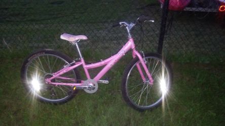 Trek Mt220 Mountain Bike 24 Inch Wheels EXCELLENT QUALITY 