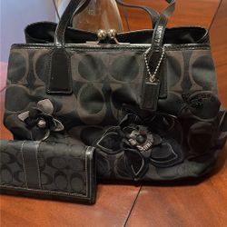 Coach Purse & Wallet
