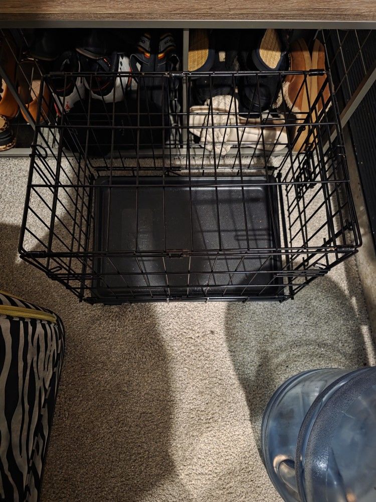 Kennel