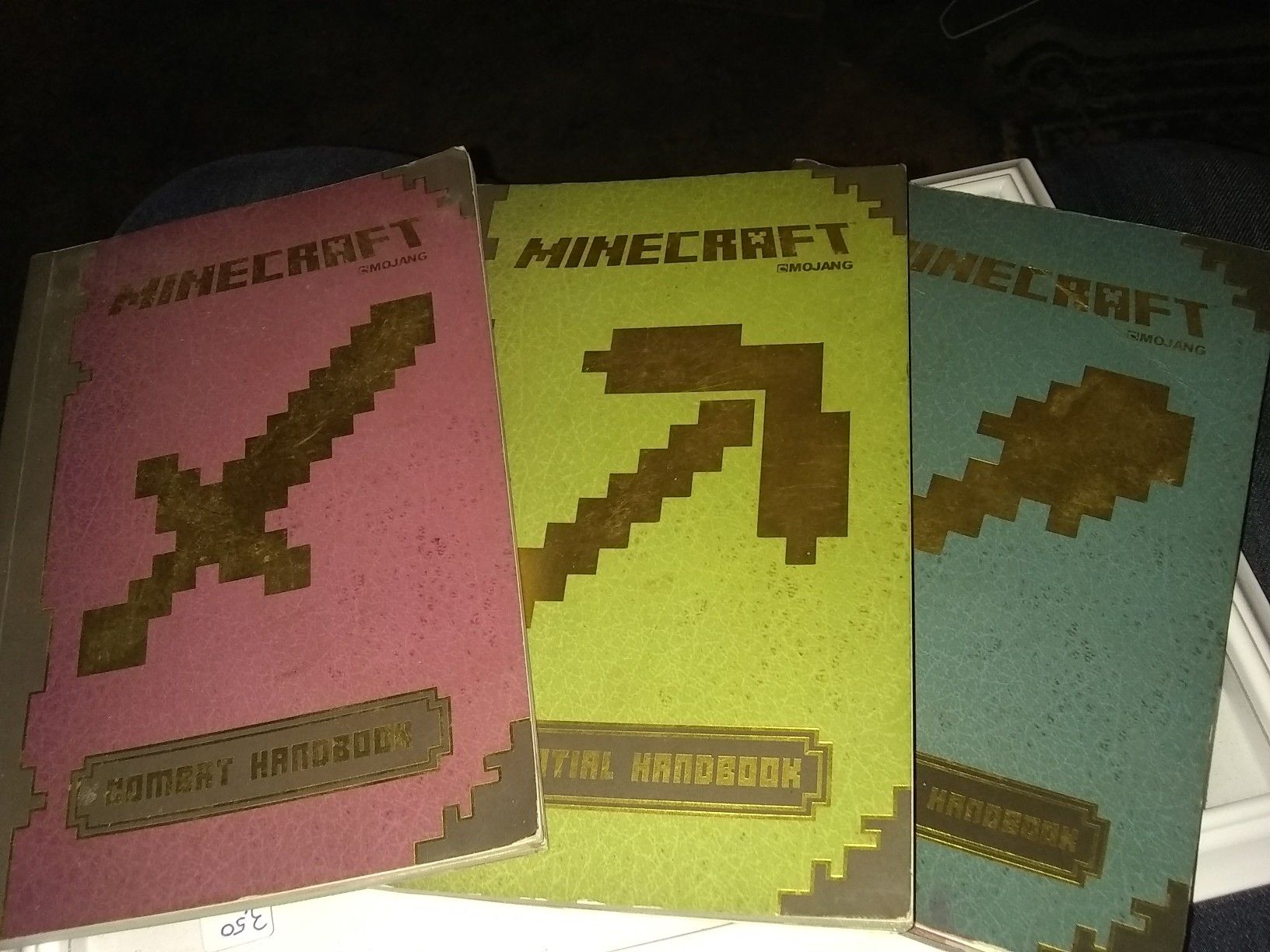 lot of 3) Minecraft reading books