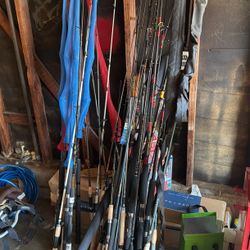 fishing rods