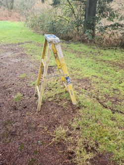 3 Ft. Fiber Glass Step Ladder 
