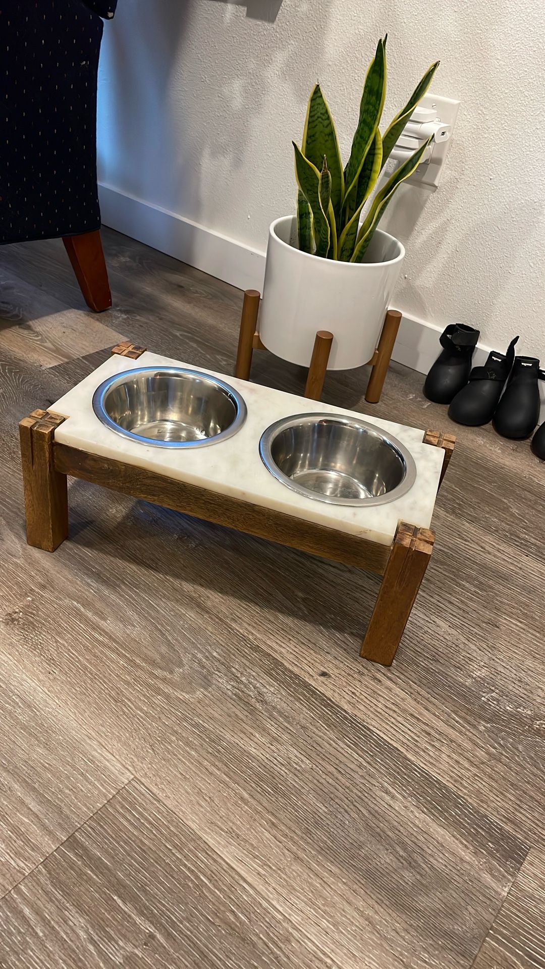 Puppy/Dog Bowl