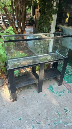 55 Gallon Fish Tank With Stand