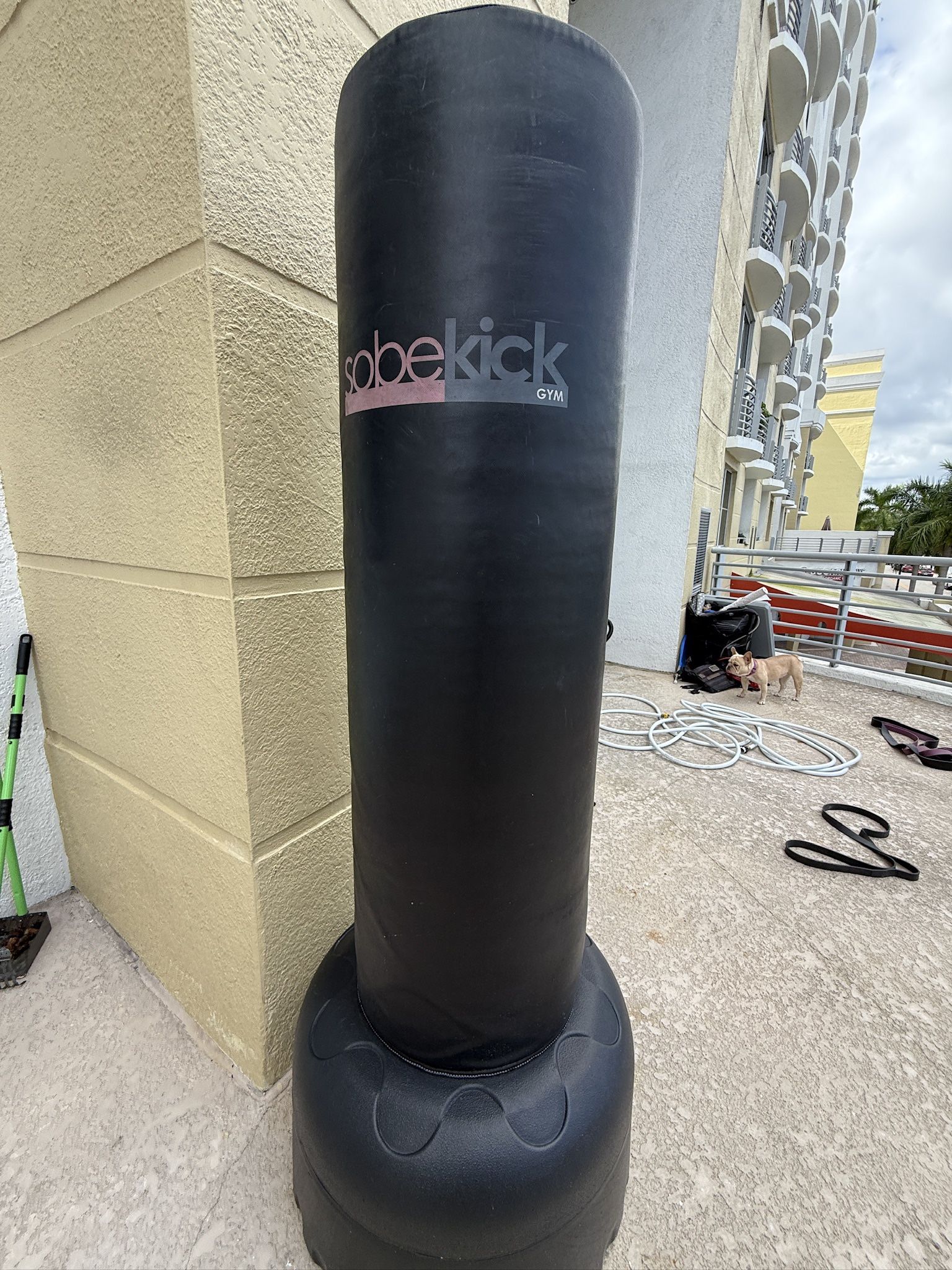Sobe Kick Punching Bag 