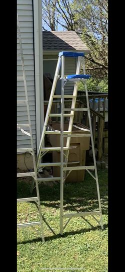 ladder 