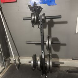 Rogue Plate Tree with Plates 