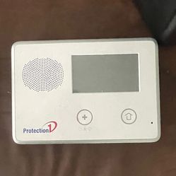 Protection 1 Alarm Panel