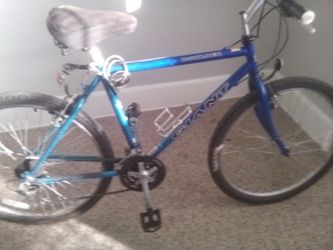 Giant mountain bike.