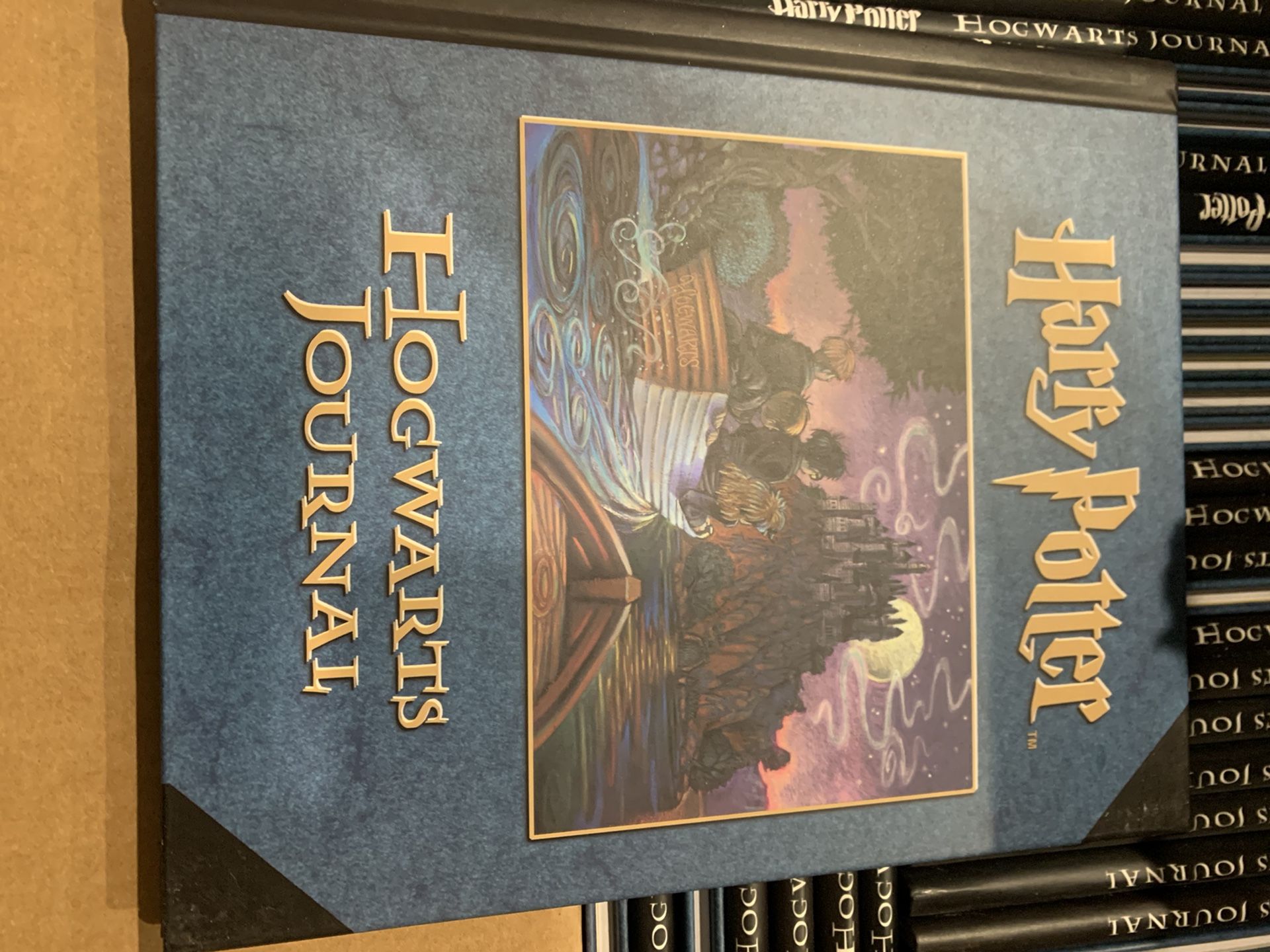 Harry Potter hogwarts journals