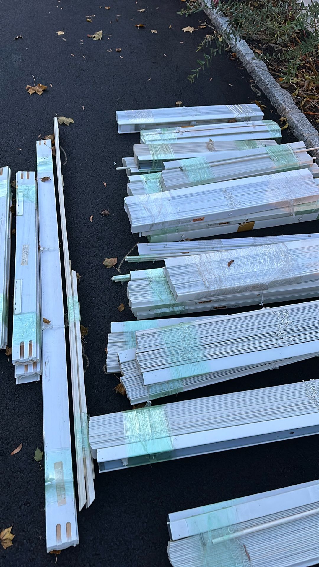 Window Blinds Levolor