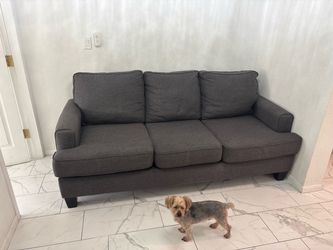 Grey Couch
