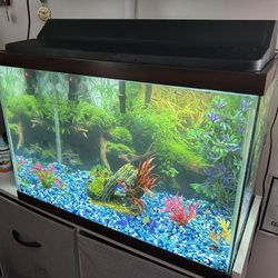 Fish Tank Accessories