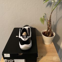 Size 10.5 - Air Jordan 11 Retro Low Concord NEW DS!!
