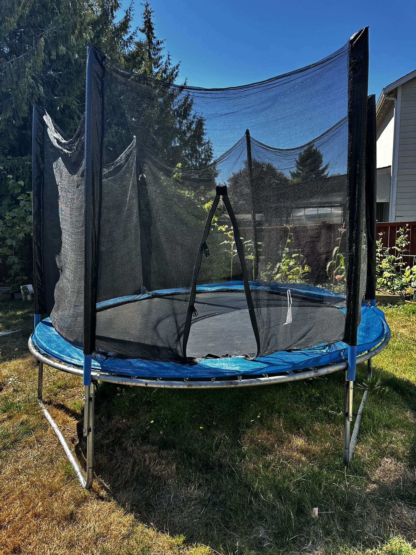 10ft Trampoline 