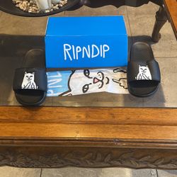 RIPNDIP Slides