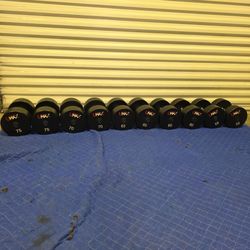 Heavy UMax  dumbbell set 55-75 pounds