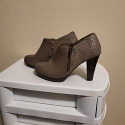Women Heel 