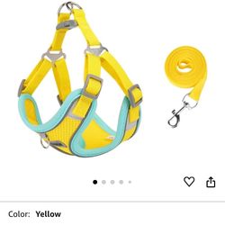New Medium Size Harness And Leash
