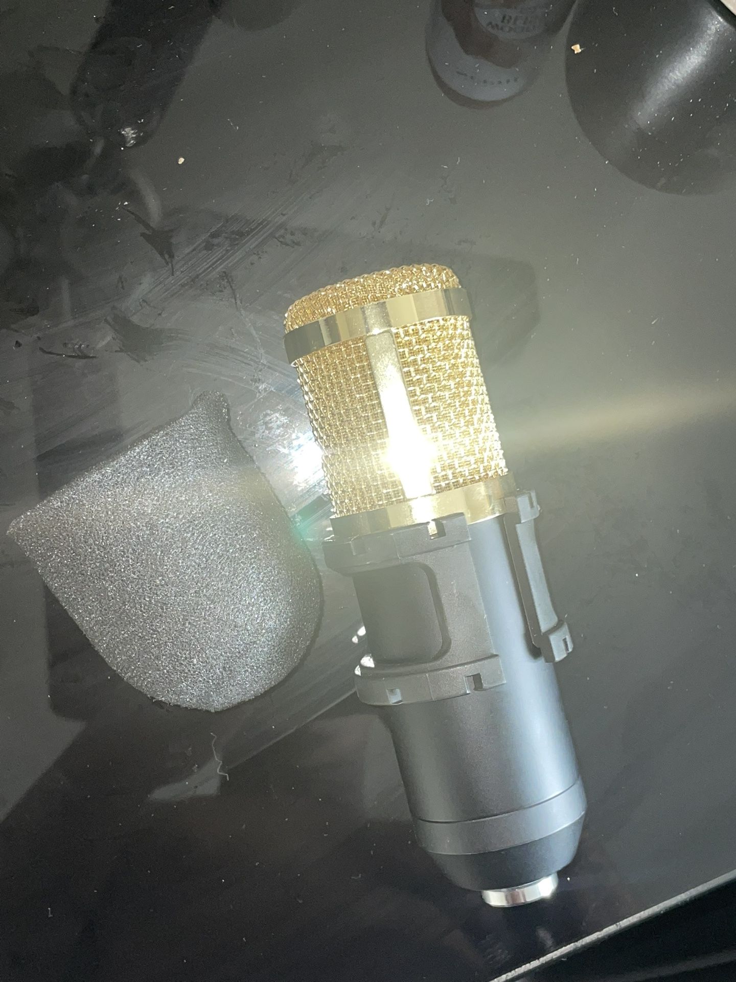 Recoding Mic And Stand With Pop Filter