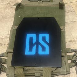 Green Plate Carrier Best