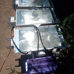 Grow Lamps And Balances