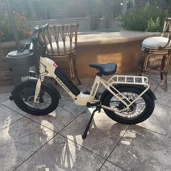 Magnum/ Pathfinder E Bike