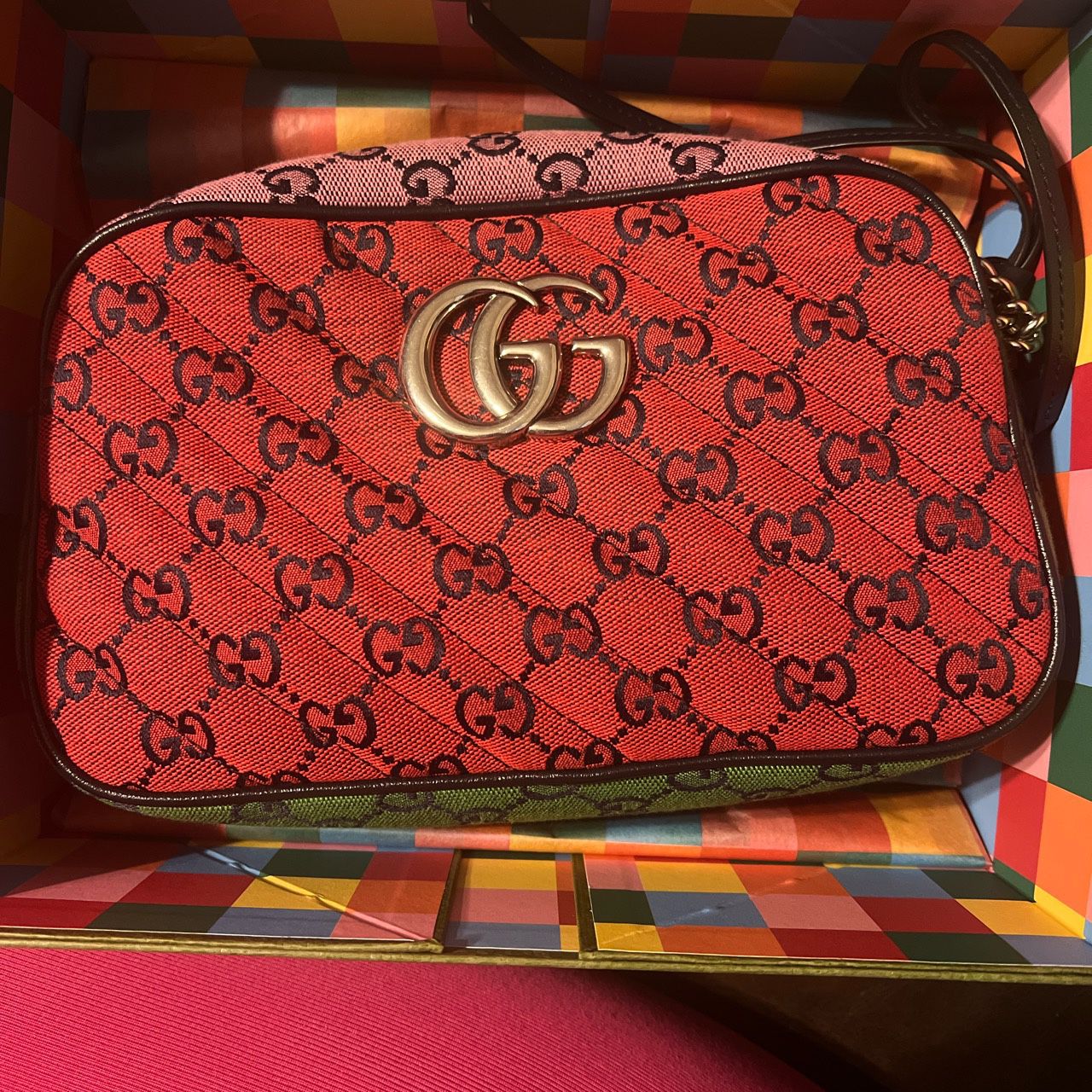Multi Color Gucci Camera Bag 