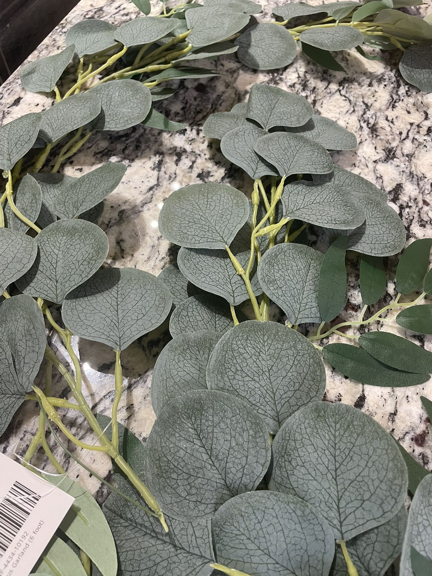 6ft Long Silver Dollar Eucalyptus Garland. Never Used