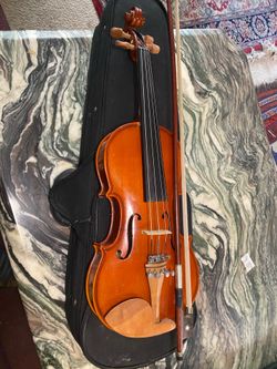 12 Viola Solid